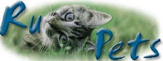 Ru-Pets - Все про домашних питомцев. Выставки собак и кошек. Клубы, питомники и ветеринары. Покупка и продажа щенков и котят. Вязка