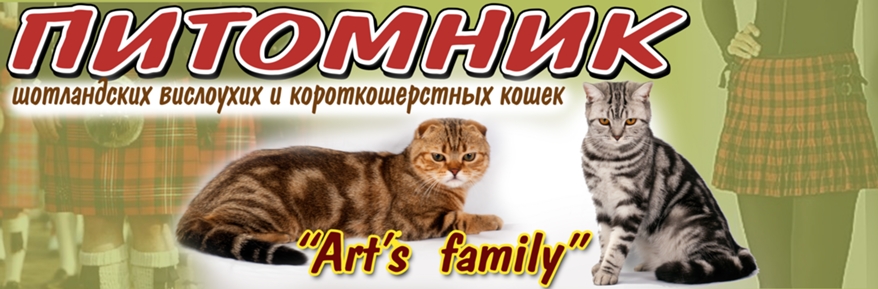   (-)    Art`s Family