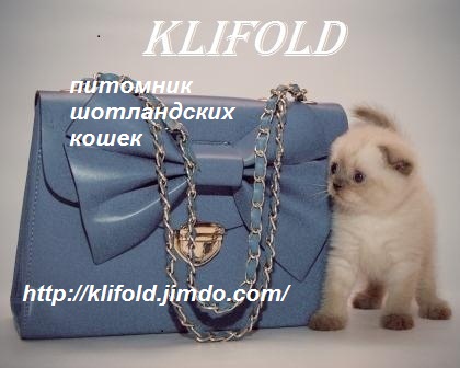    ( - )    Klifold