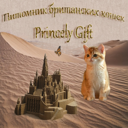      Princely Gift