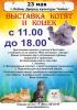 фото с выставки кошек