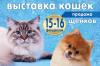 фото с выставки собак