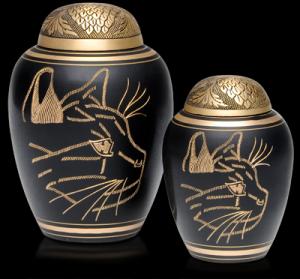 Различные услуги для домашних животных в Хабаровске фото питомника Различные услуги для домашних животных в Хабаровске