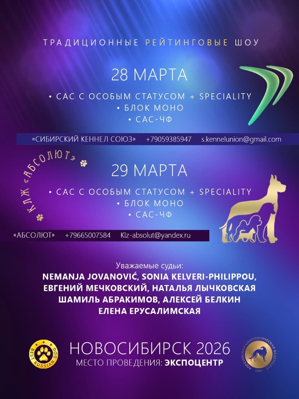 Фото выставки собак