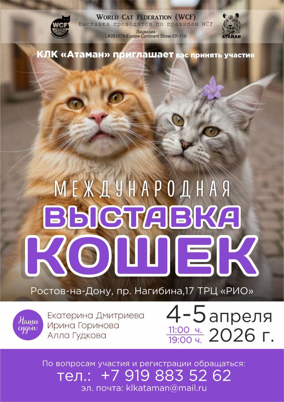 Фото выставки кошек