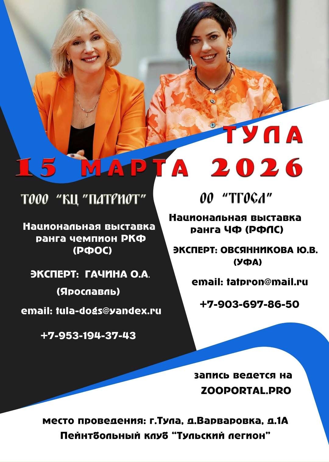 Фото выставки собак