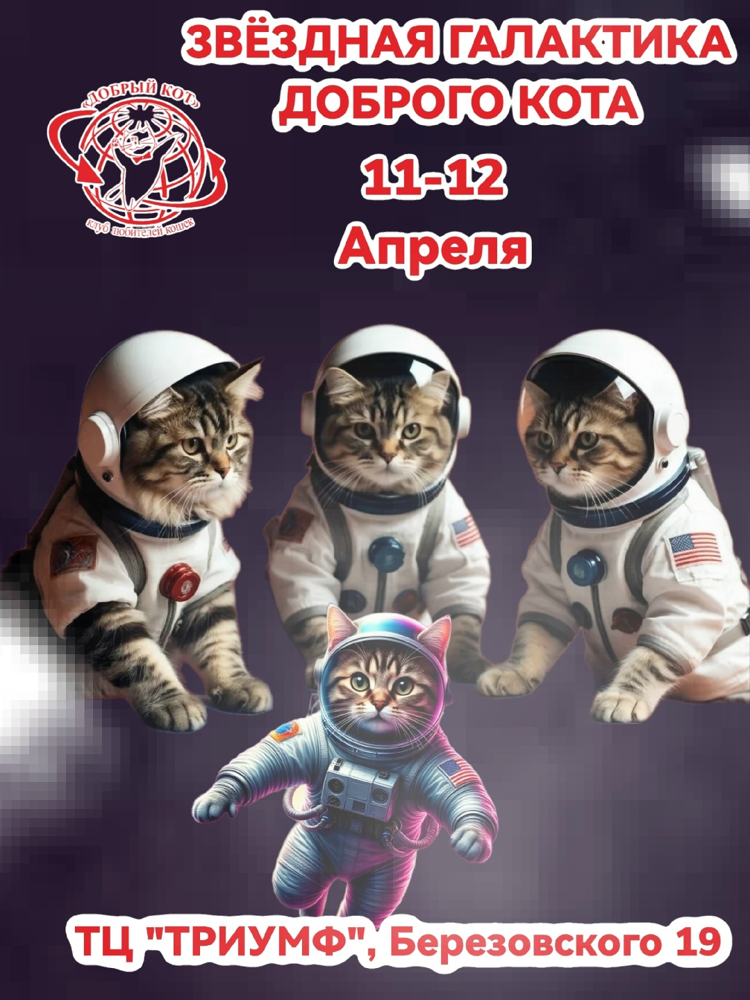 Фото выставки кошек