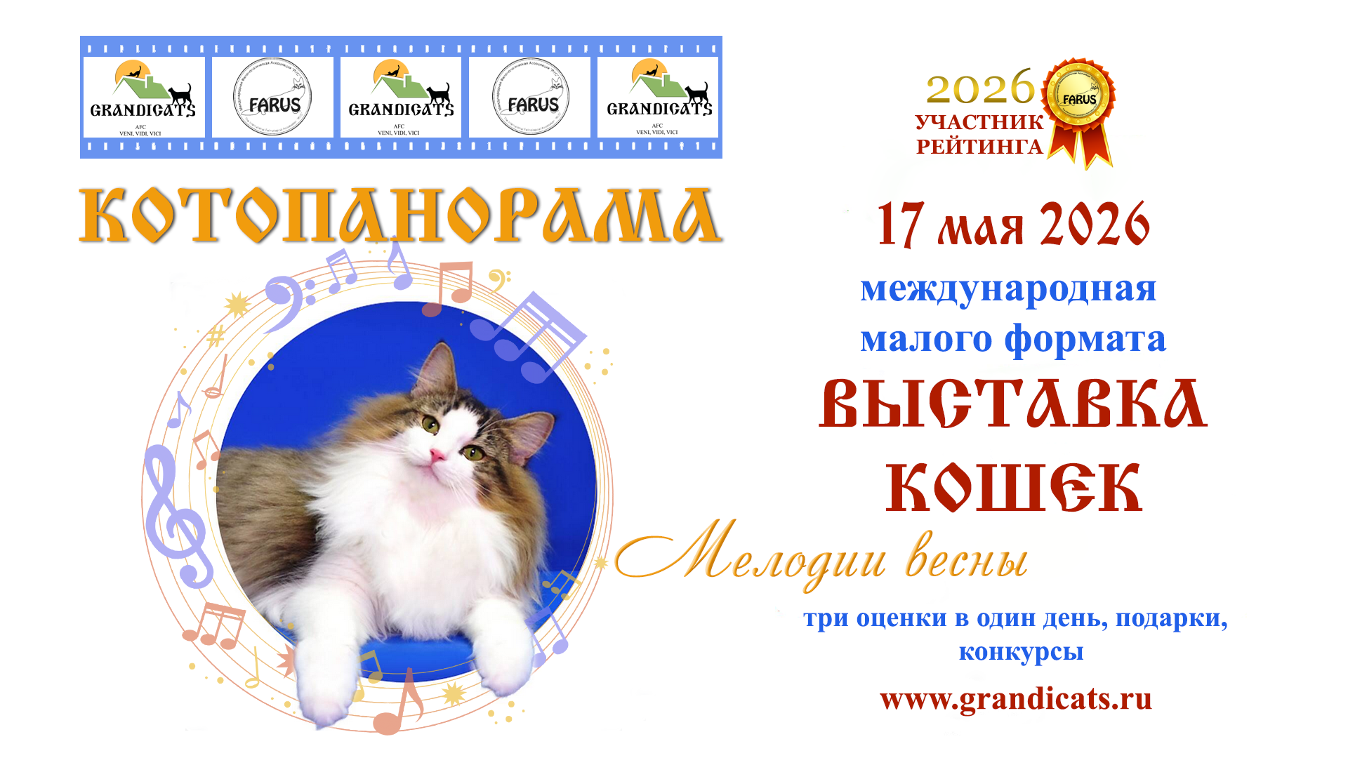 Фото выставки кошек