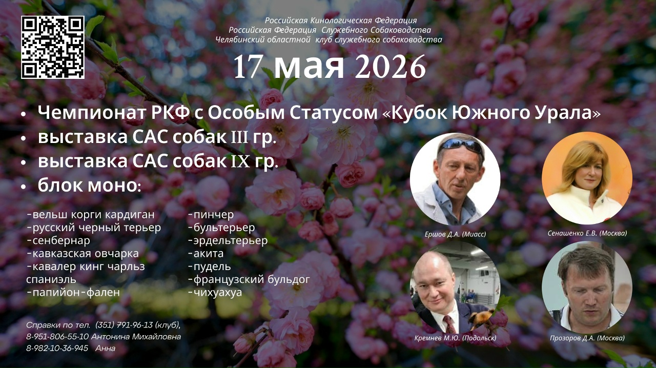 Фото выставки собак